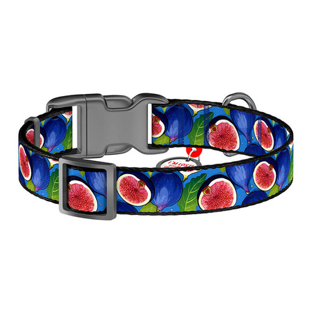 Obroża nylonowa z kodem QR dla psa Waudog "Figa", rozmiar XL