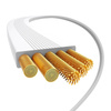 Baseus Kabel ładowania USB-C do USB-C 100W (biały) Edycja Bayern
