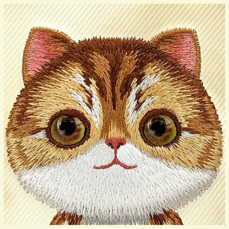 Nimmy etui iPhone 16 6.1" khaki Big Eyed  Pet 2.0 Cat