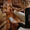 Etui IPHONE 14 PRO UNIQ Coehl Solitaire transparentne
