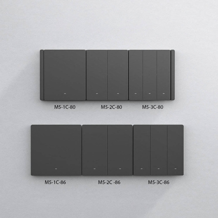 Sonoff Smart 2-Kanal WLAN Wandschalter schwarz (M5-2C-86)
