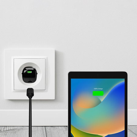 PURO MiniPro Wall Charger GaN - Ładowarka sieciowa 1 x USB-C 20W PD (czarny)