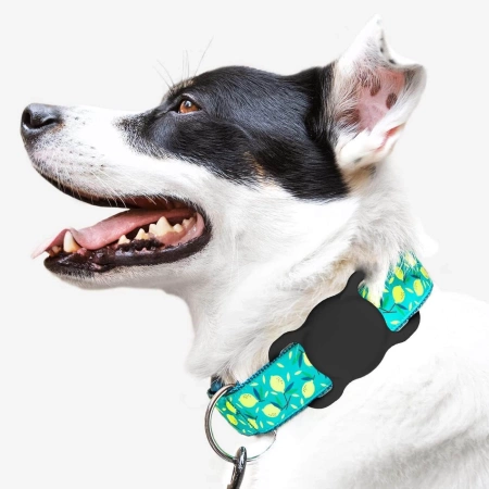 Apple AirTag Silikonhülle für Hunde- oder Katzenhalsband - Schwarz