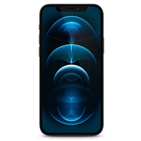 Guess szkło hartowane iPhone 12 mini 5,4" Vintage Magic Logo / GUSPP12SSLTR