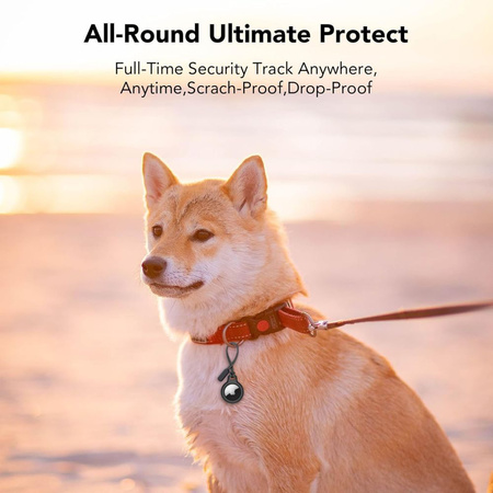 TECH-PROTECT ROUGH CHAIN 2-PACK APPLE AIRTAG BLACK