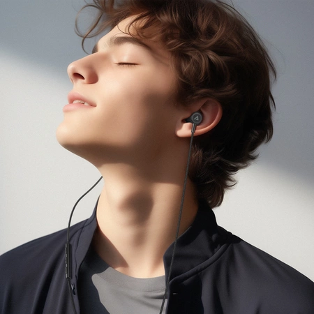 Acefast L2 In-Ear-Kopfhörer mit USB-C-Anschluss, Mikrofon und Fernbedienung 1,2 m – Schwarz