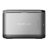 Portable Cooler EcoFlow Glacier Classic 55l