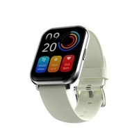 Smartwatch HiFuture Zone 2 - szary