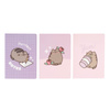 Pusheen - Zestaw zeszytów A5 z kolekcji Moments 3 szt.