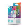 Żarówka LED E27 A60 RGB + Biały 9W z pilotem 720lm Forever Light