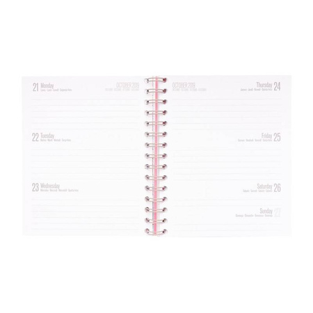 Pusheen - Planner 2019/2020 rok (15,5 x 19 cm)