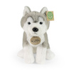 Rappa - Pluszowa realistyczna maskotka Pies Husky siedzący 23 cm Eco-Friendly Soft Collection