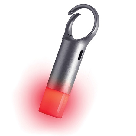 Lexon Nomaday Flash Brelok LEDszary/gun LL137X