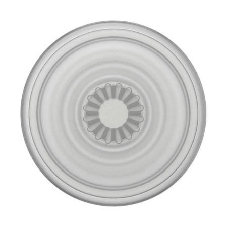 Popsockets PlantCore Grip Faded Stone Handyhalter und Ständer